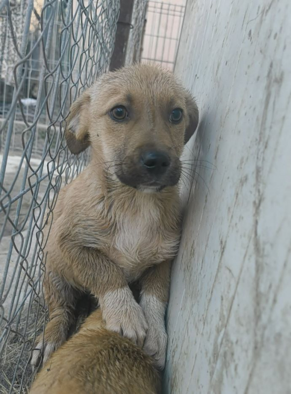 Photo #2 de Bartolomé