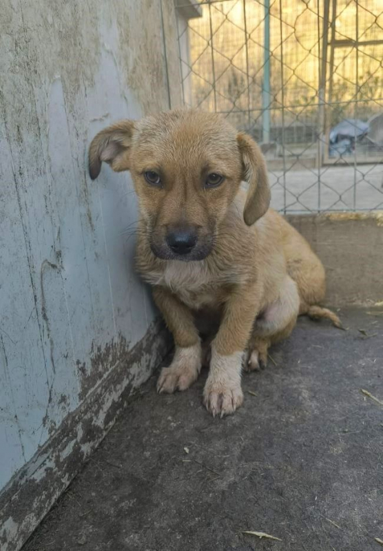 Photo #3 de Bartolomé