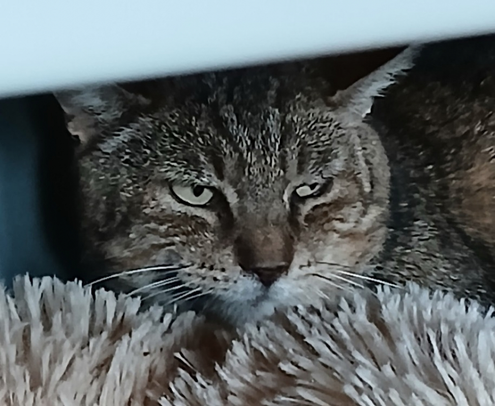 Photo de Pepere