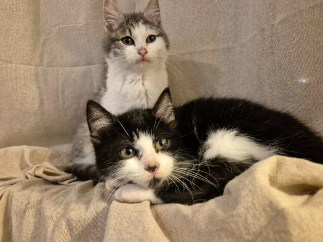 Photo de Alex réservé