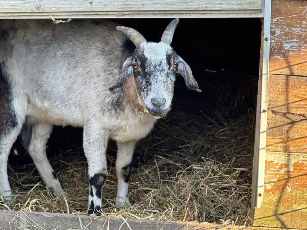 Photo #1 de Bernadette