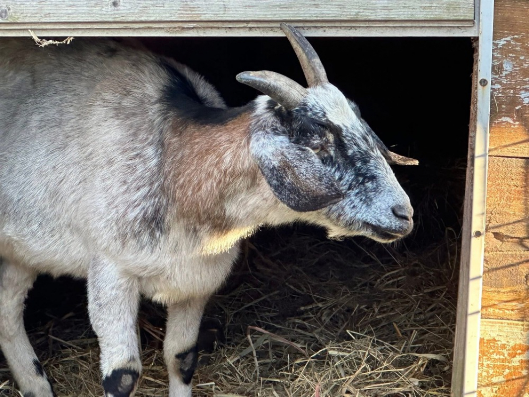 Photo #2 de Bernadette