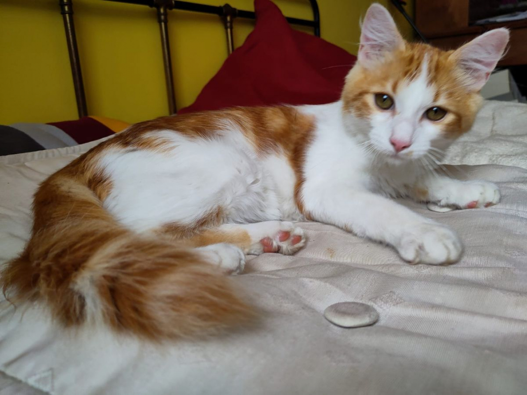 Photo #2 de Roudoudou 