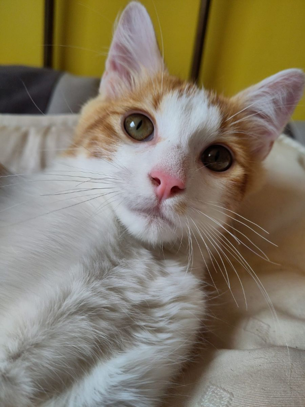 Photo #4 de Roudoudou 