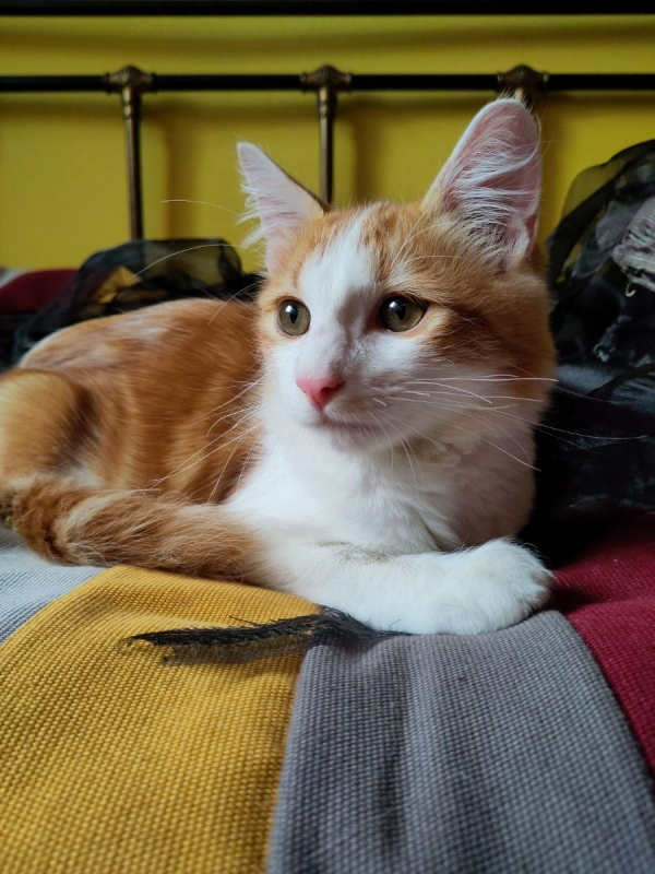 Photo #5 de Roudoudou 