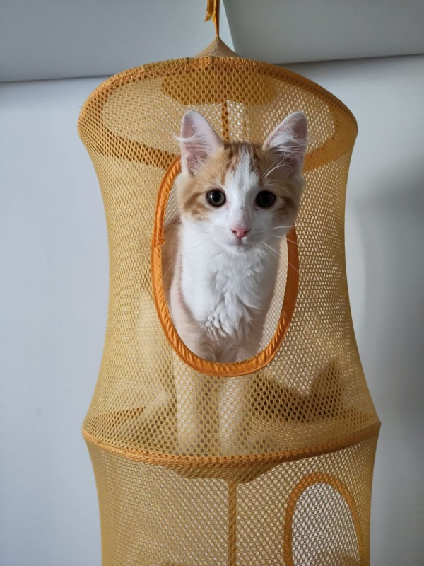 Photo #6 de Roudoudou 