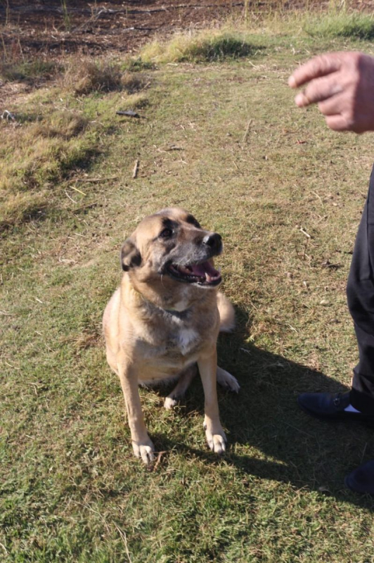 Photo #6 de Stella