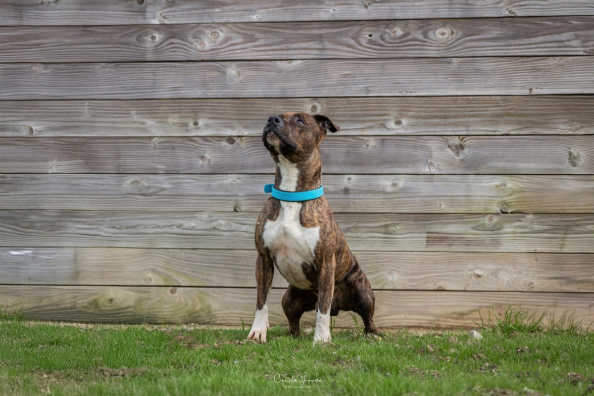 Photo #1 de P'tit boy