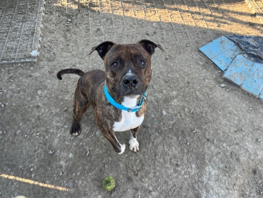 Photo #3 de P'tit boy