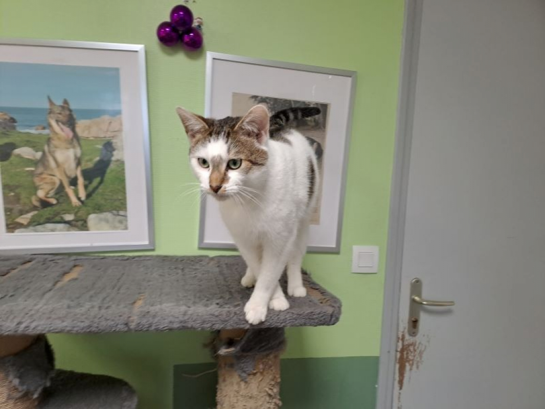 Photo de Gump réservé