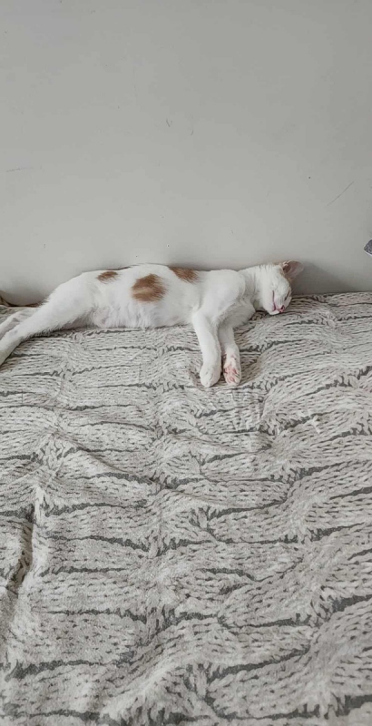 Photo #1 de luka