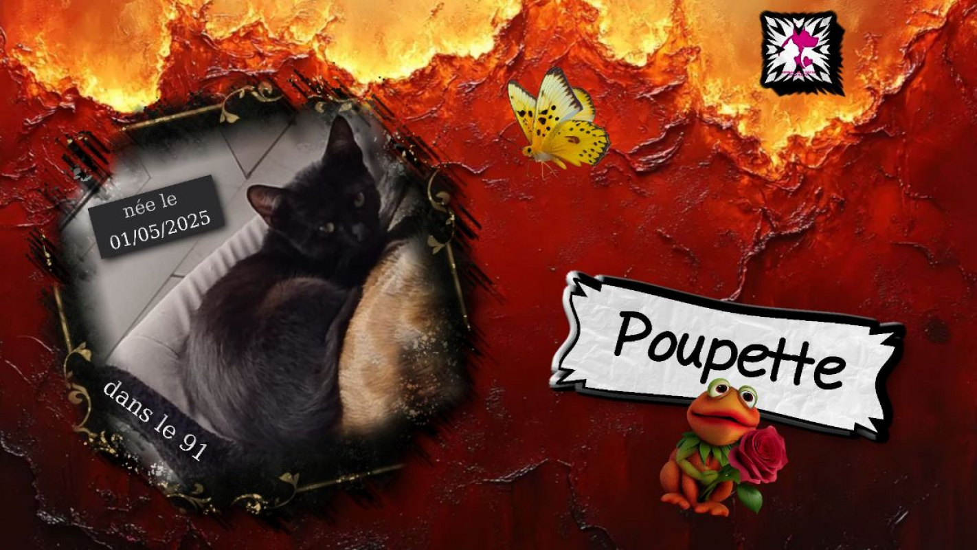 Photo de Poupette