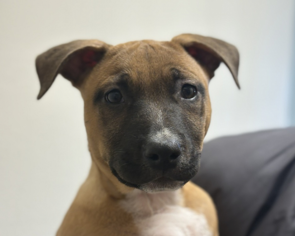 Photo de Eroy mr lin