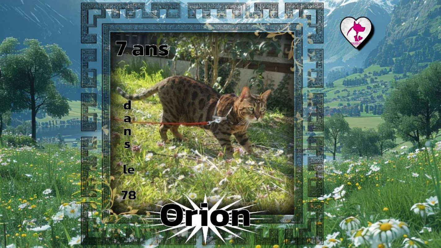 Photo de Orion
