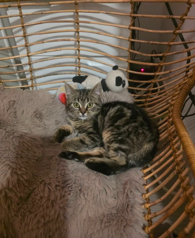 Photo #3 de Boulette