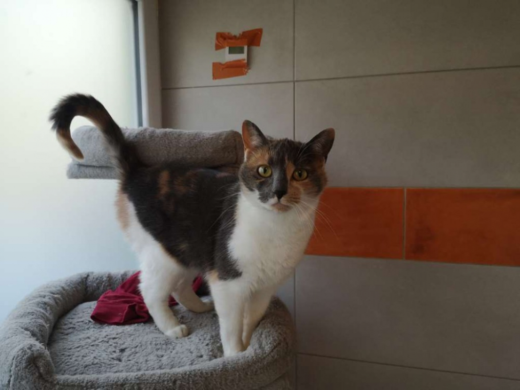 Photo #1 de Camaïeu