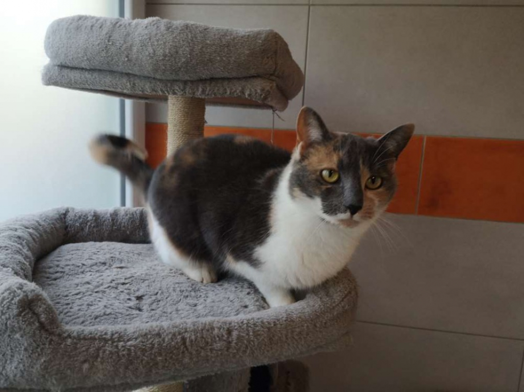 Photo #3 de Camaïeu