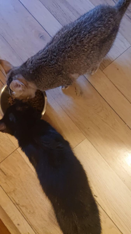 Photo de ALPHA