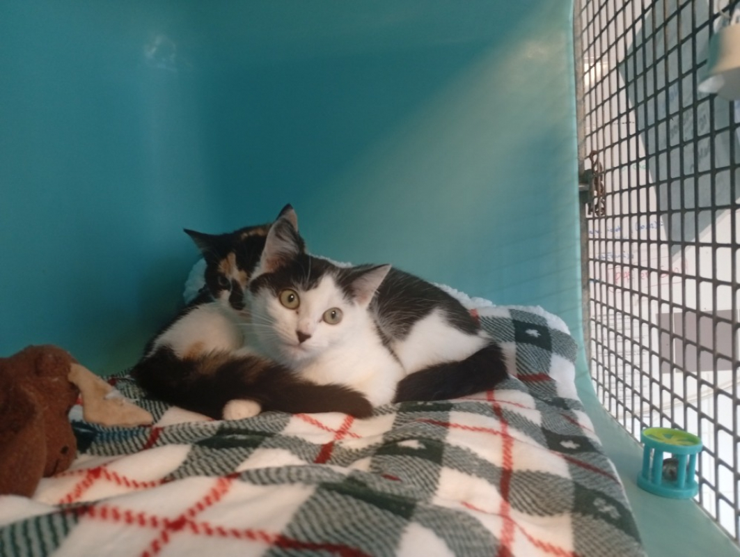 Photo de Anne-carole