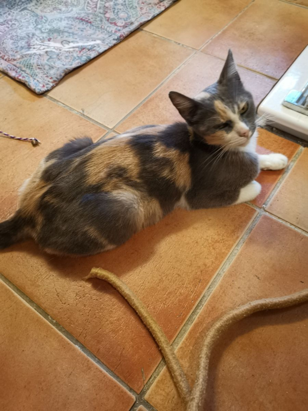 Photo de Abygaelle