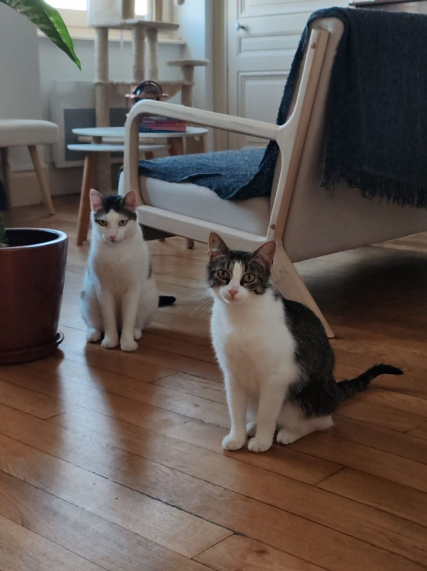 Photo #3 de Mia et Moka