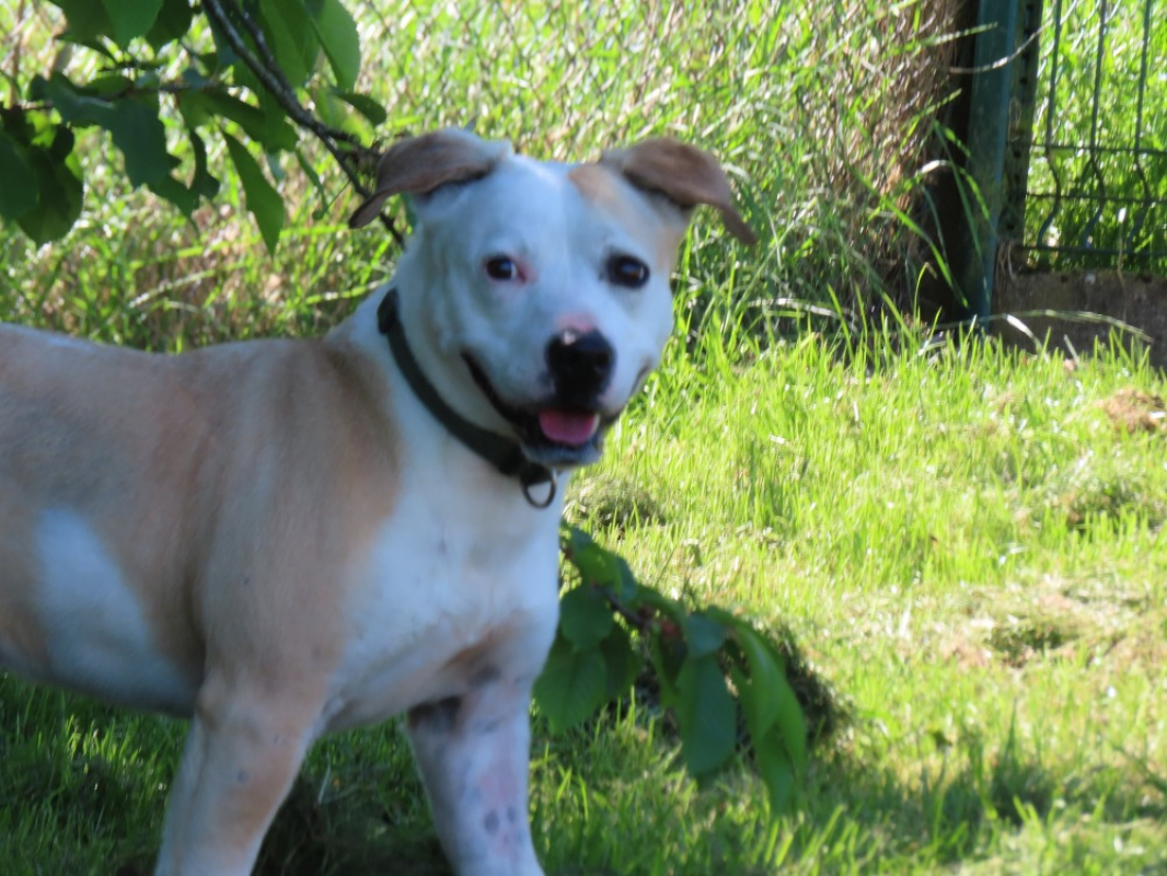 Photo #2 de Cirilla