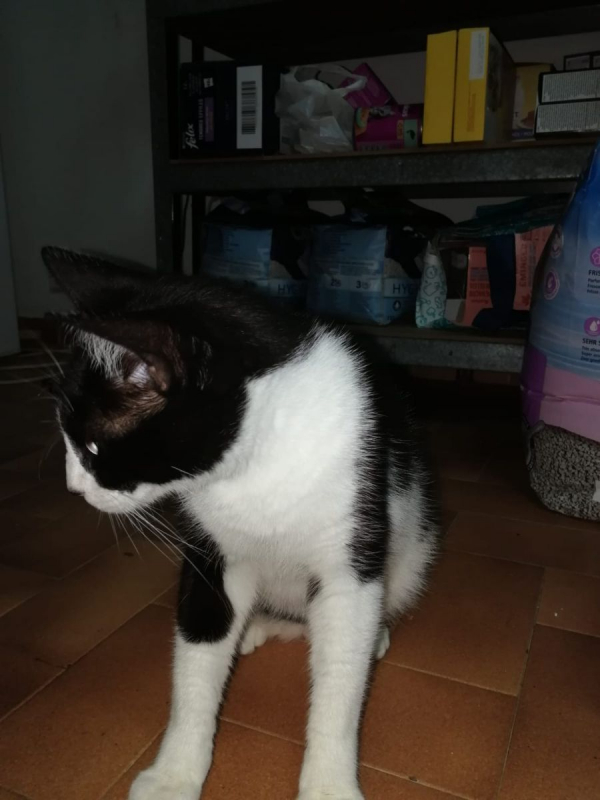 Photo #2 de Luffi
