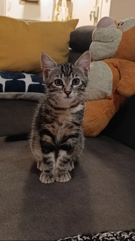Photo de Aïko