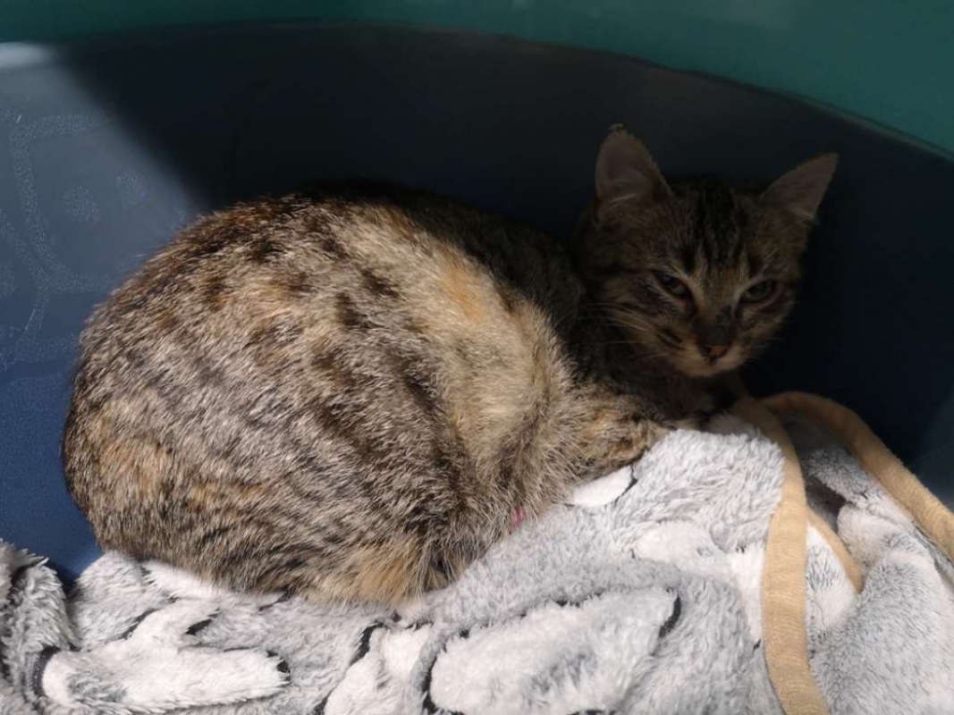 Photo de Réservé arôme