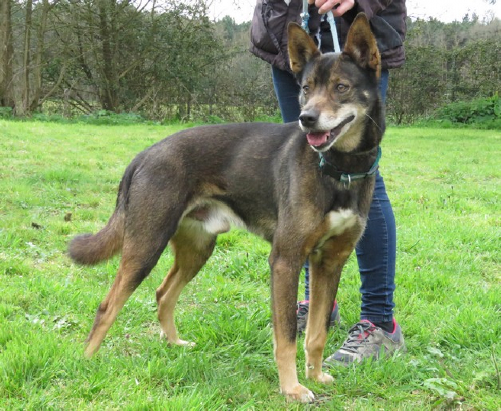 Photo #1 de Atoll dit tolou