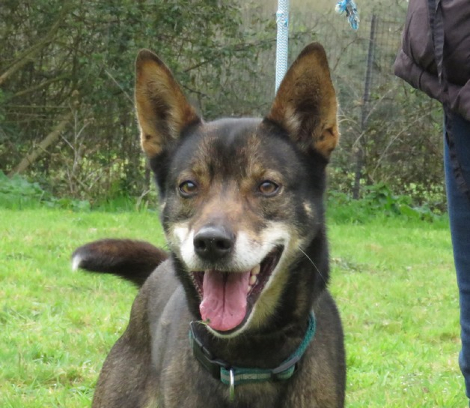 Photo #2 de Atoll dit tolou