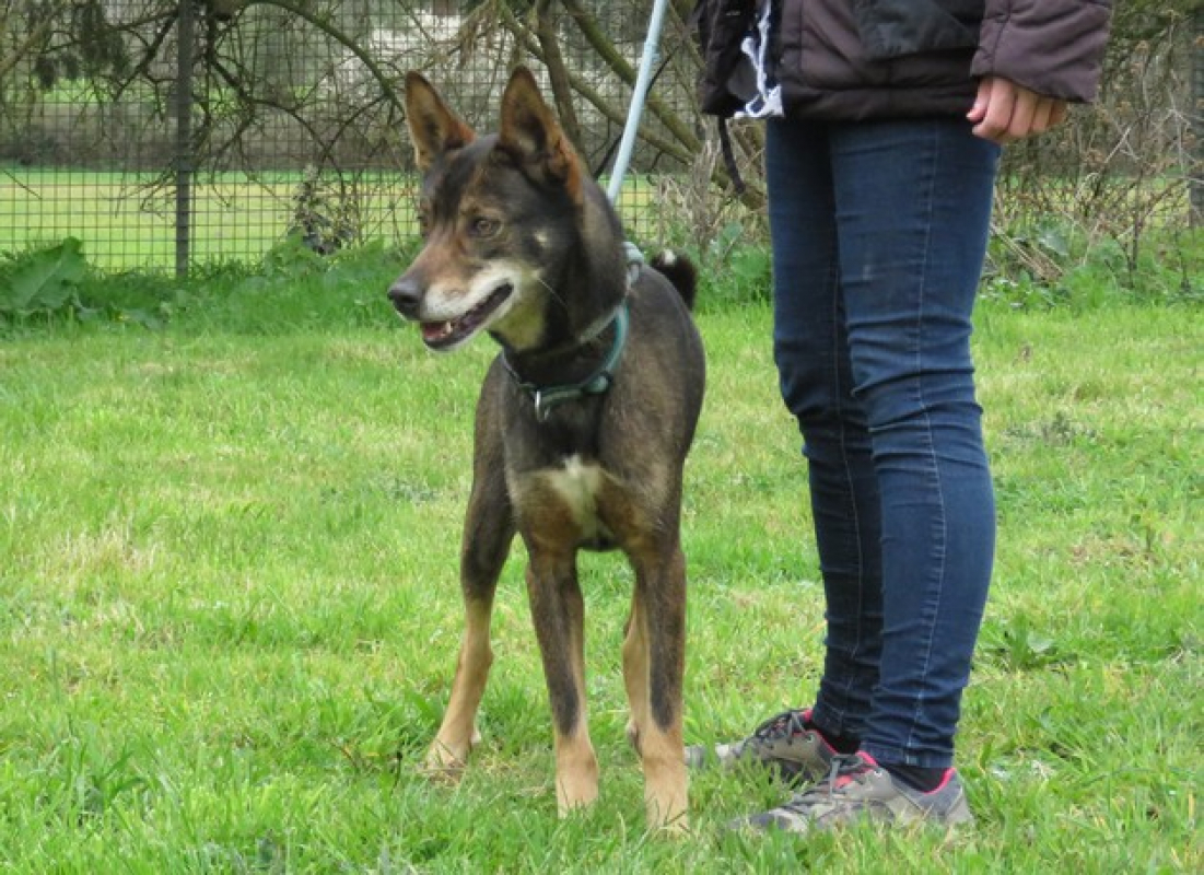 Photo #3 de Atoll dit tolou