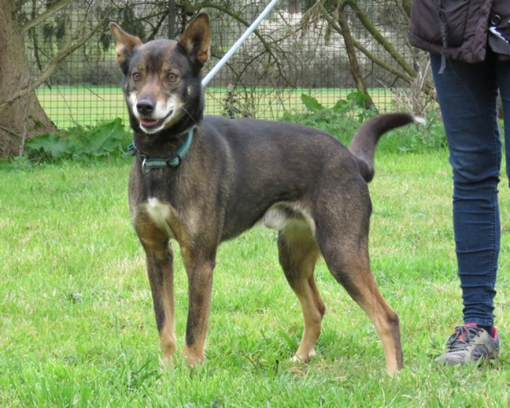 Photo #5 de Atoll dit tolou