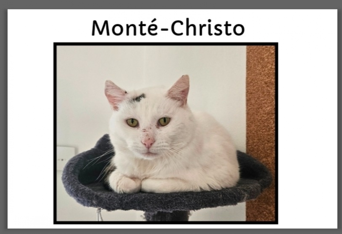 Photo de Monte cristo