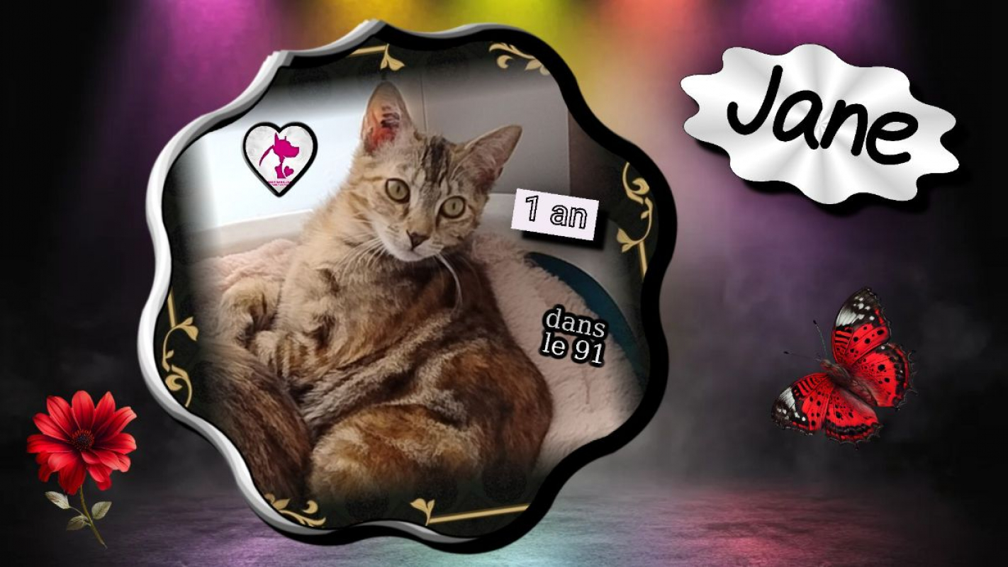 Photo de Jane