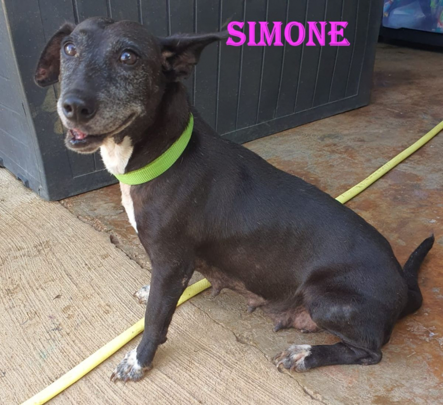 Photo #3 de simone