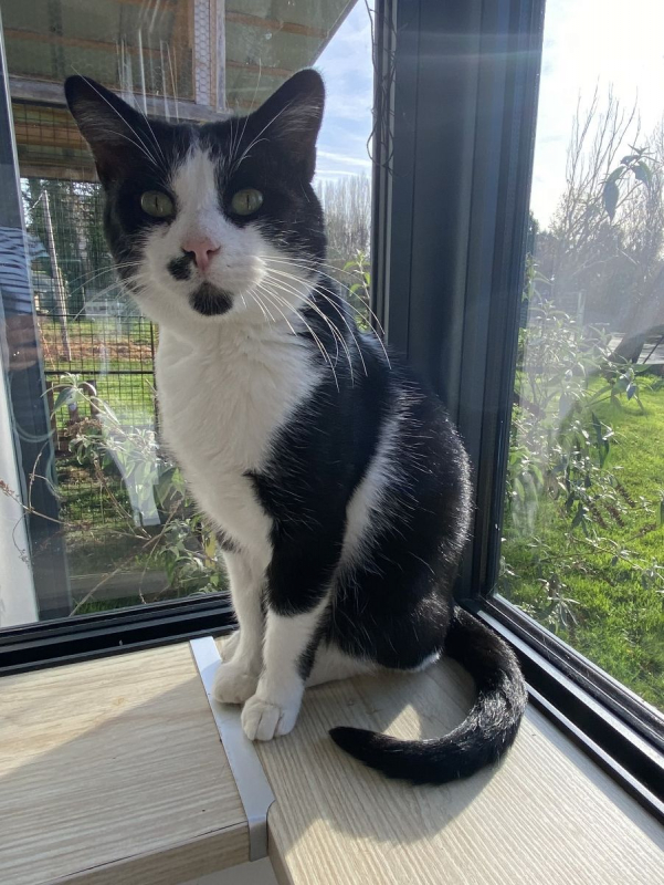 Photo #1 de Moustache