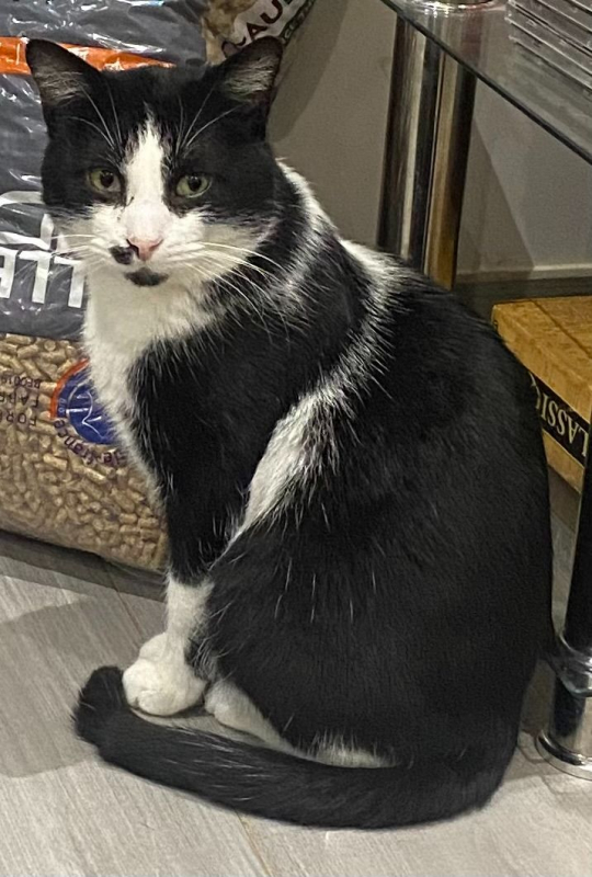 Photo #4 de Moustache