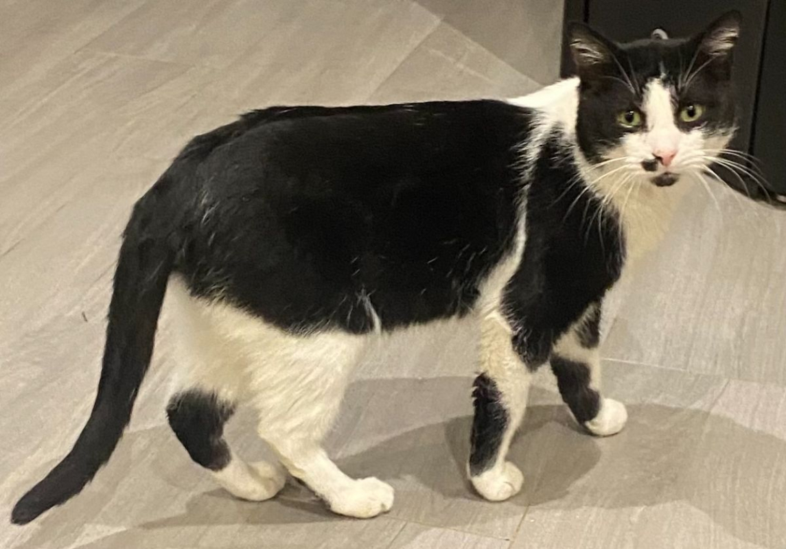 Photo #9 de Moustache