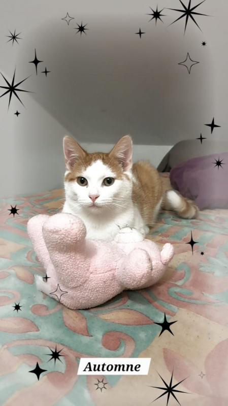 Photo #2 de Automne et Storm