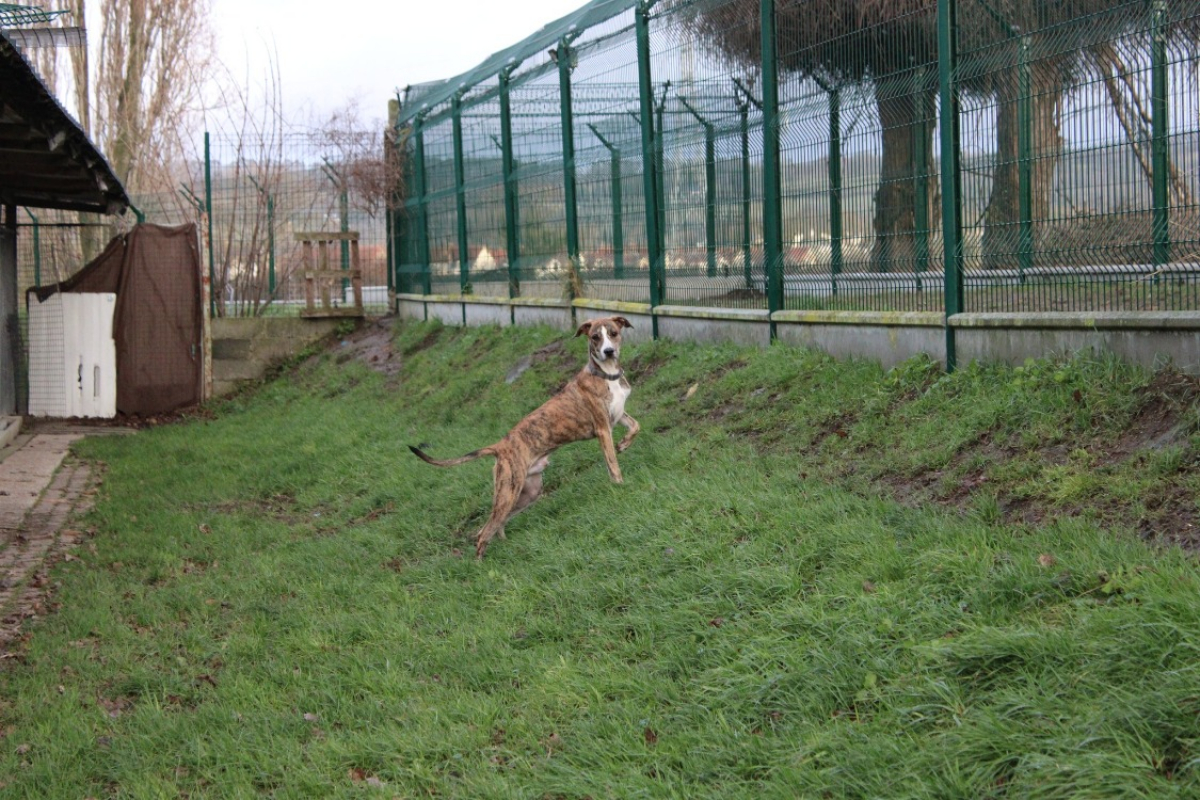 Photo #3 de Cherkane