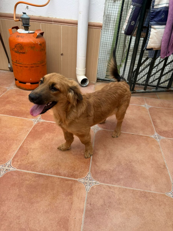 Photo #1 de GARBANZO