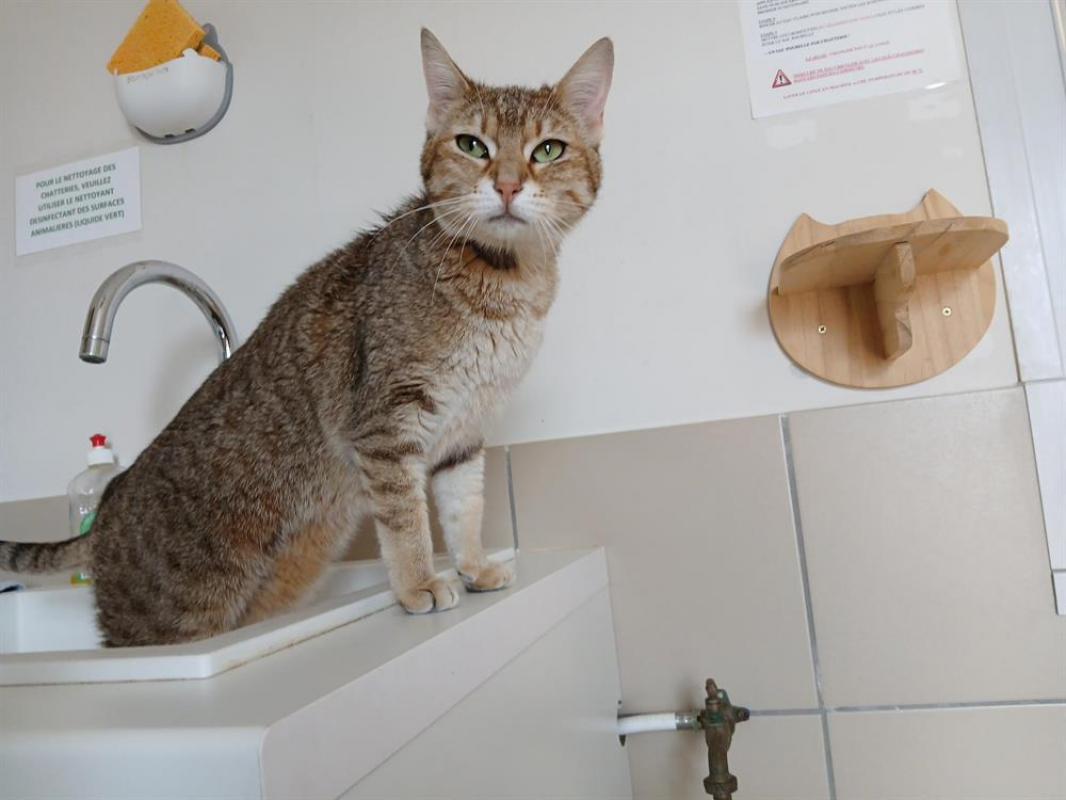 Photo de Evora réservé