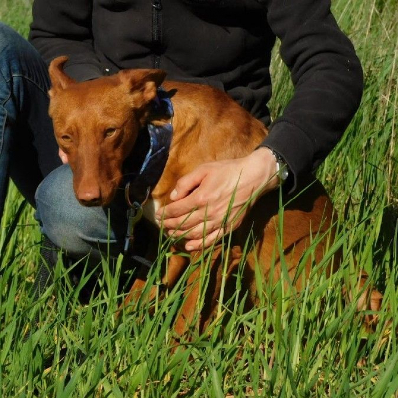 Photo #3 de PROMISSE