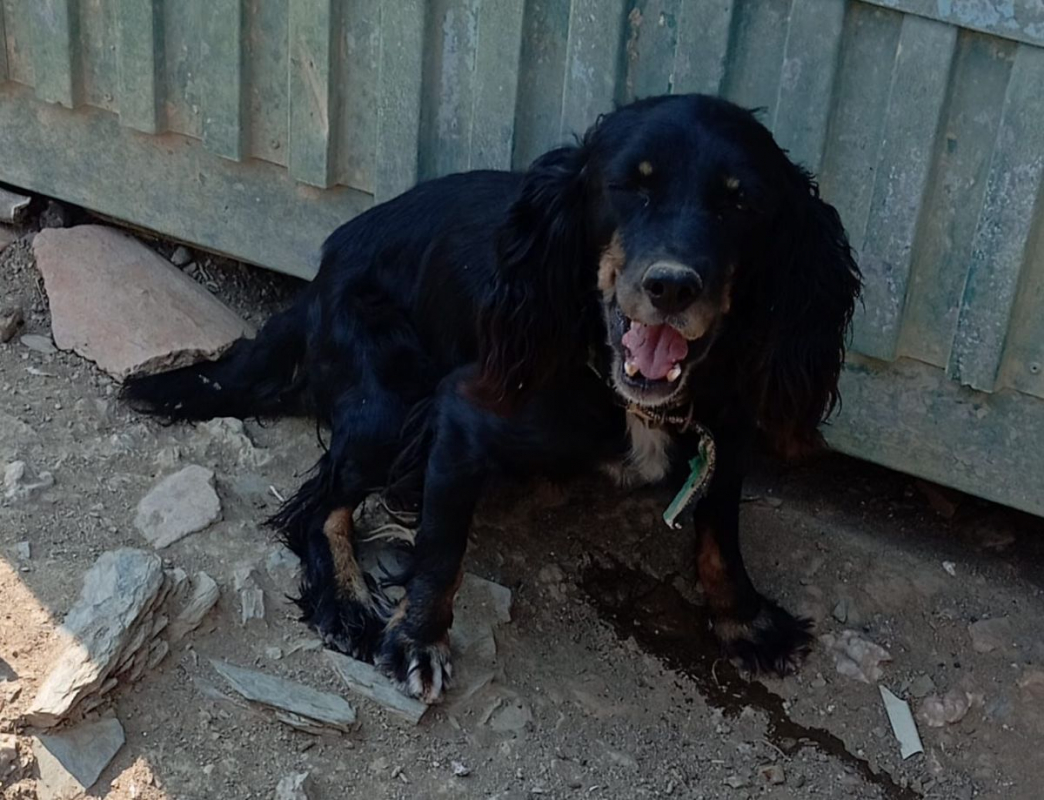 Photo #3 de CUQUI