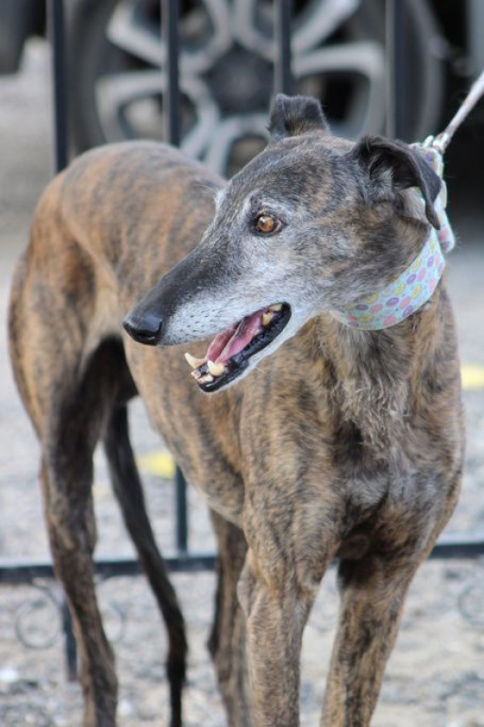 Photo #2 de ROMERITO