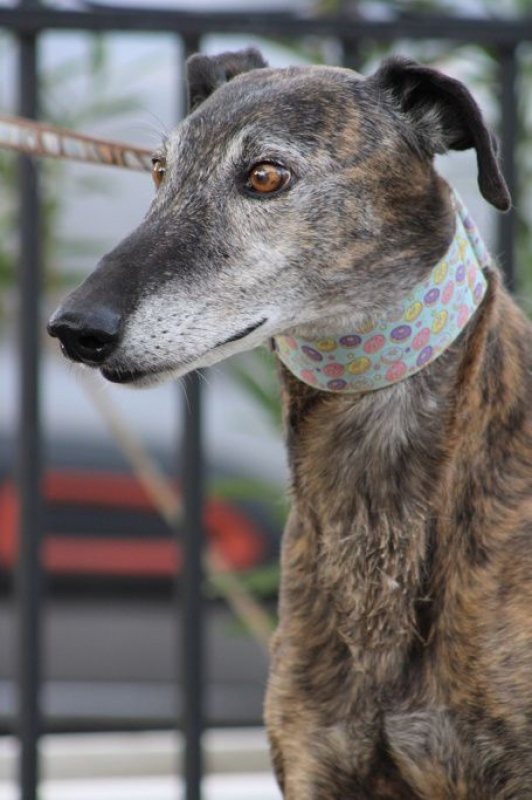 Photo #3 de ROMERITO