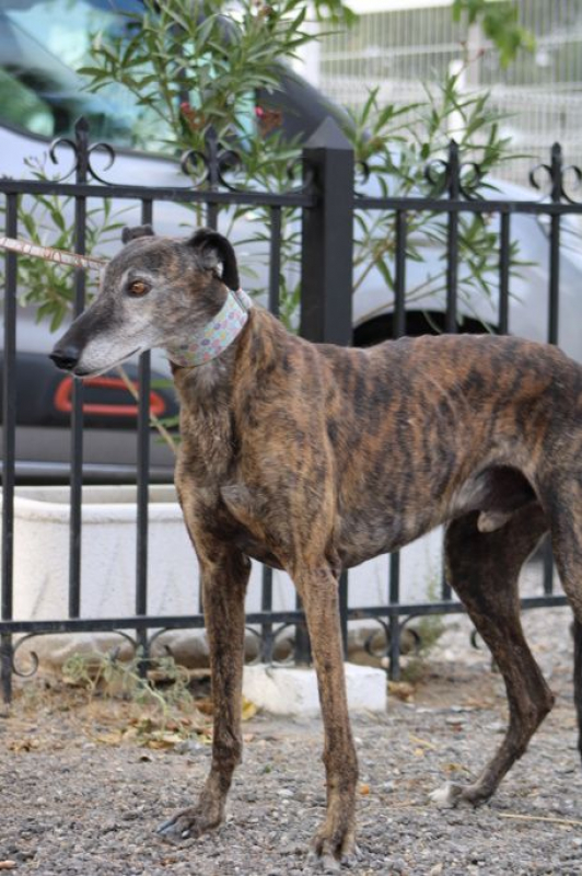 Photo #4 de ROMERITO