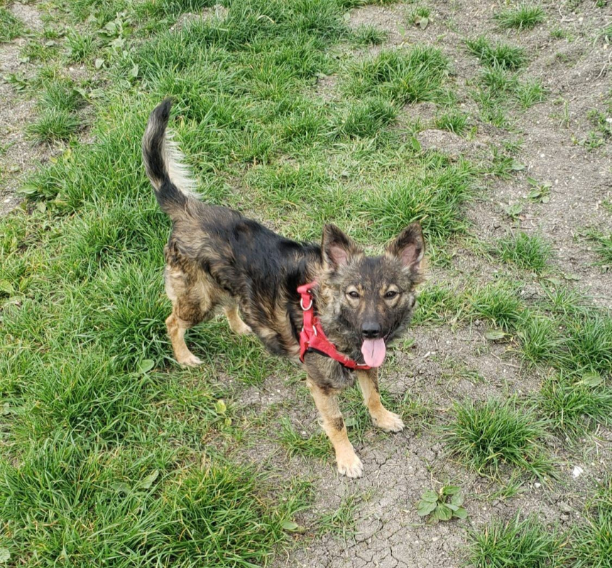 Photo #8 de Nika
