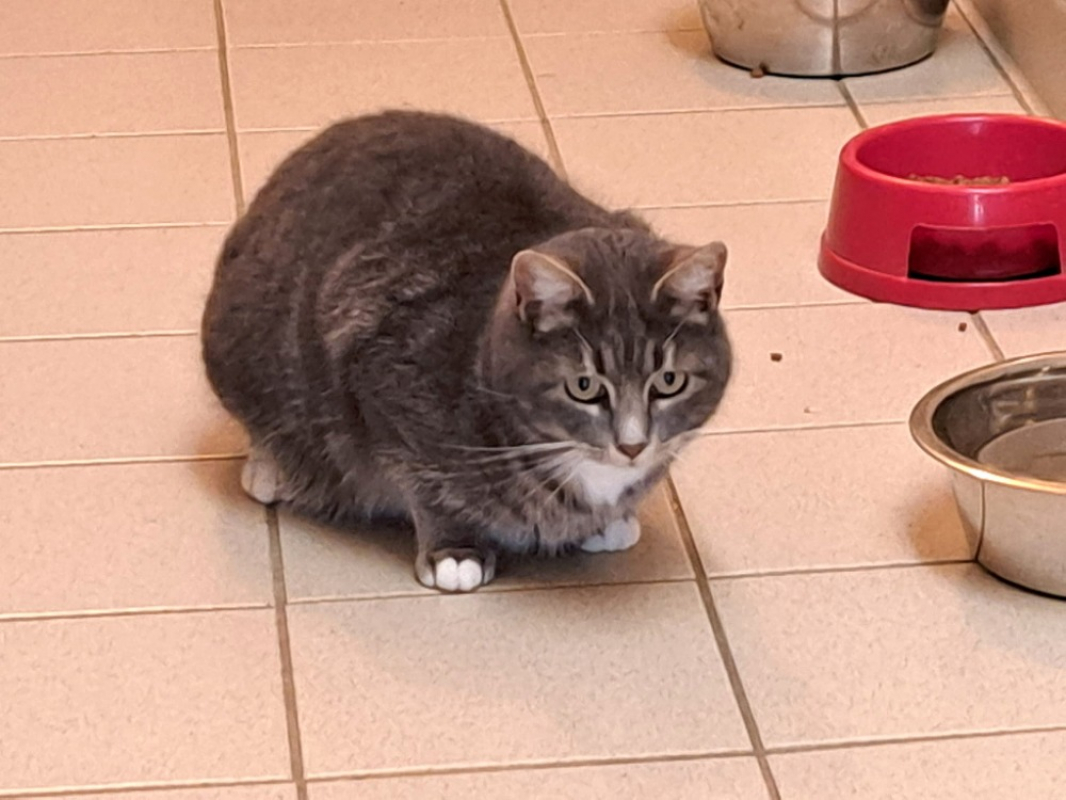 Photo #1 de Doudoune